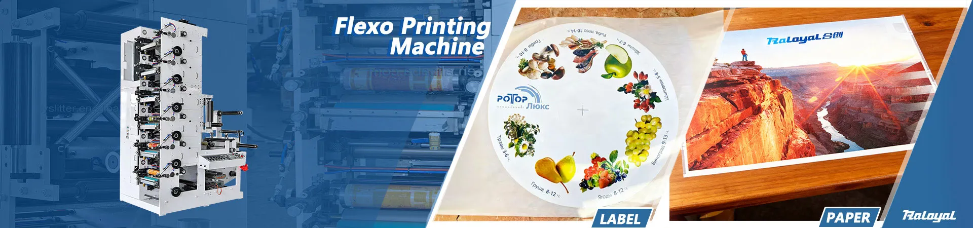Flexodruckmaschine